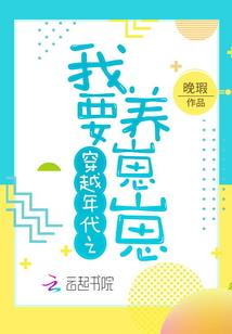 光年荒野辅助