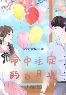 韩红什么职业