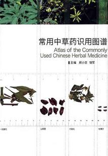 幽灵行动荒野原版武器