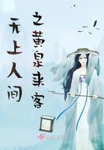 提布装备效果