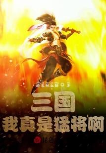 满江红游戏破解版下载