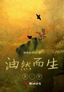 我的世界粉丝之一