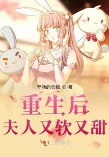 变形飞机机器人游戏