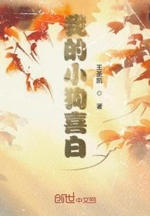 渣渣辉我的世界图