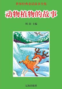 几何小说最新破解版完结