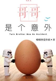 安装mod未将