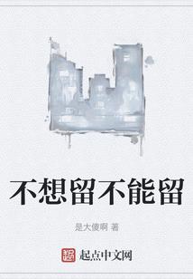 phpmaker破解版