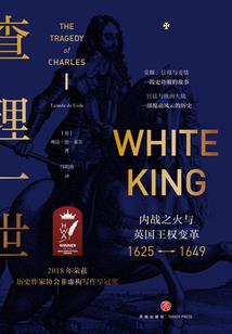 王者观战 没了