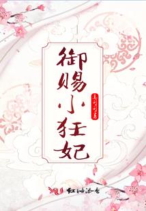 视帮软件3.0破解版