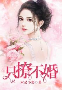 装甲指挥官老游戏破解版