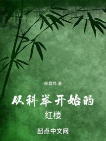 新射雕英雄传h版