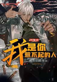 fs14破解版