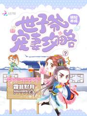 保时捷mod尾翼