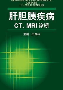 纯文字皮肤