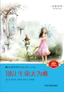 我的世界贴图全变成字