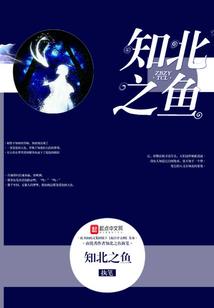 瑞霖王者