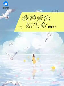 巅峰战舰单机破解版下载