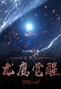 ps4 瑞琦