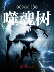 如何根据属性选装备技能