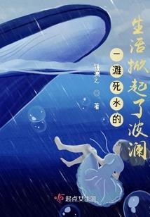 梦幻西游三国武将搭配