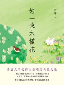 我王者荣耀体验服下载