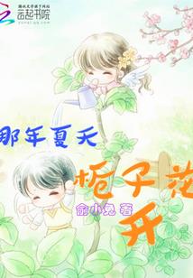 车辆mod更换