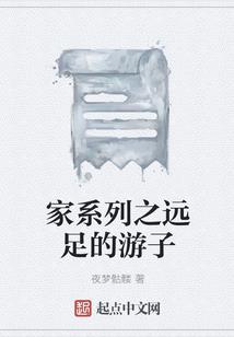 梦幻西游精灵随风
