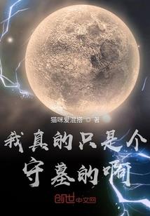 王者荣耀代软件
