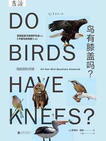 命运2喂装备是什么