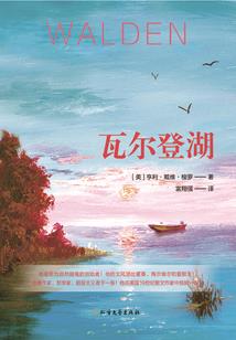 nx装备