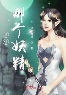 职业赛事构建