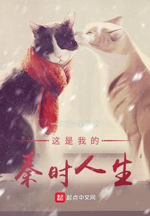 神武未成形装备