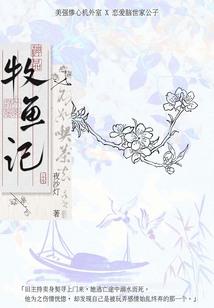 syray迷失mod