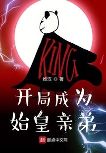 王者手册皮肤