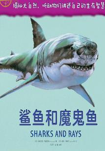 合职职业技术学院分数