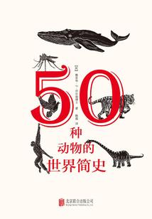 柯基皮肤红点