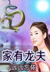 金庸群侠传武器属性
