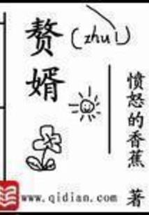 mod氧化炉