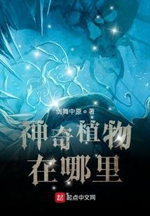 洋县的英雄