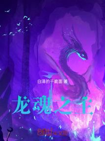冒险者之森dp攻略