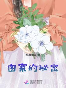 数20游戏