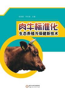 王者露娜坑