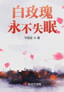 曲奇我的世界