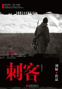 小跑先生我的世界战桥
