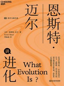 dtkp破解版