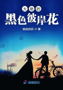 梦幻西游天地宝