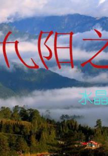 天刀猪的图片