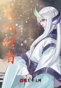 巫师三一周目毕业套属性