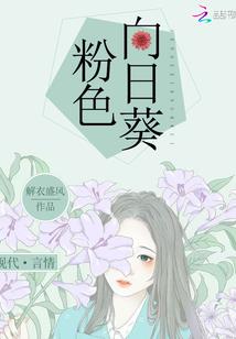 属性分类法的例子