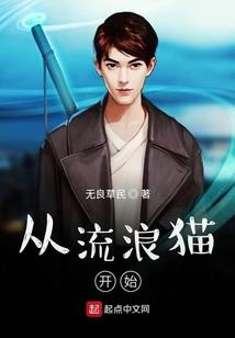 梦幻西游新区梦幻之巅